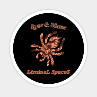 Igor & More Tarantula Liminal Stairs Orange Magnet